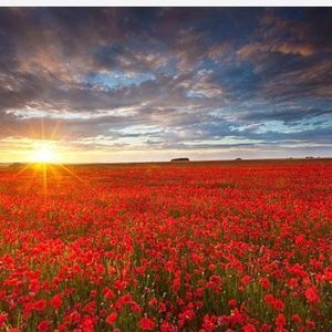 Meet your Posher, Jen